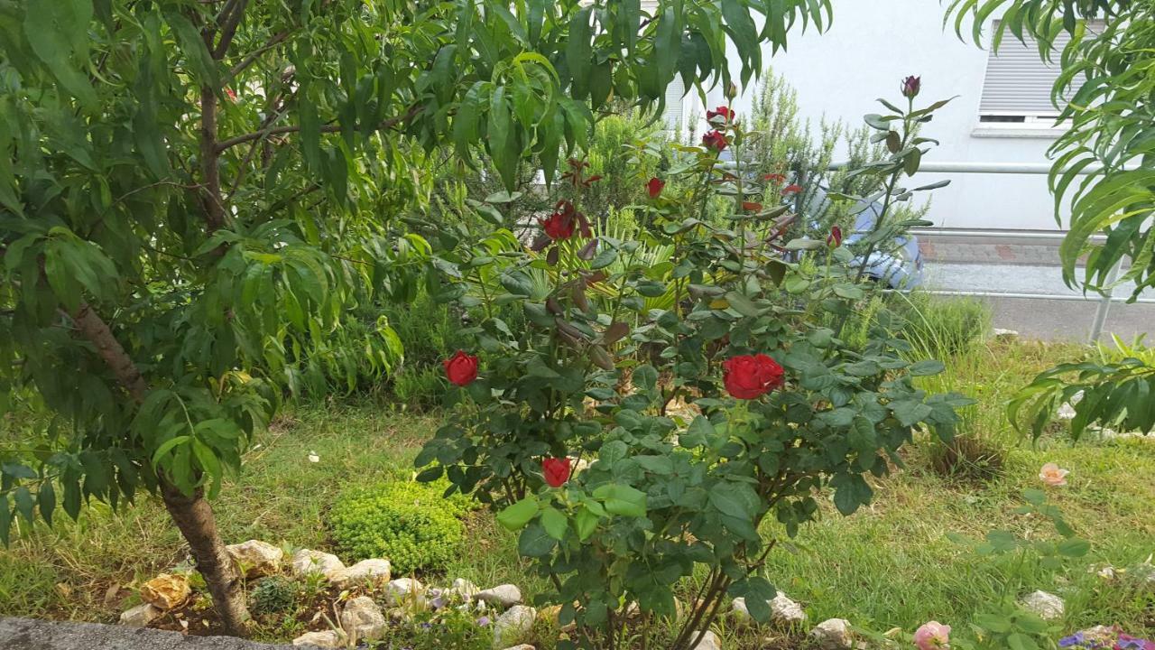 Ana Διαμέρισμα Kostrena Εξωτερικό φωτογραφία